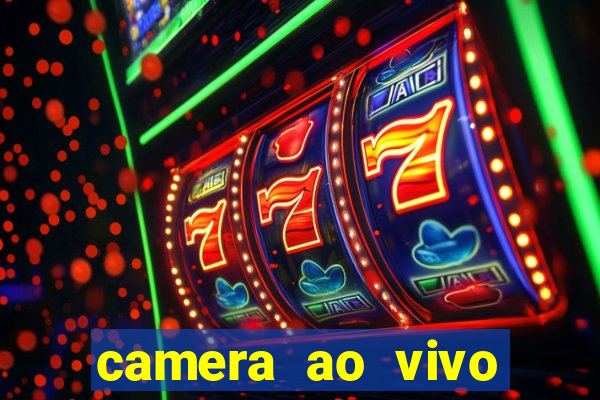 camera ao vivo terminal vila nova cachoeirinha